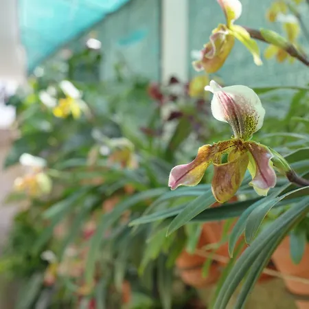 Levada Prázdninový dům