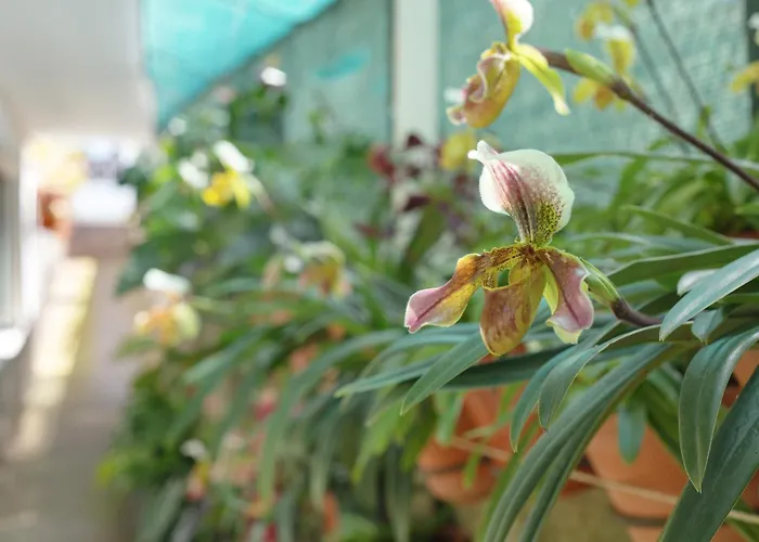 Levada Casa de Férias